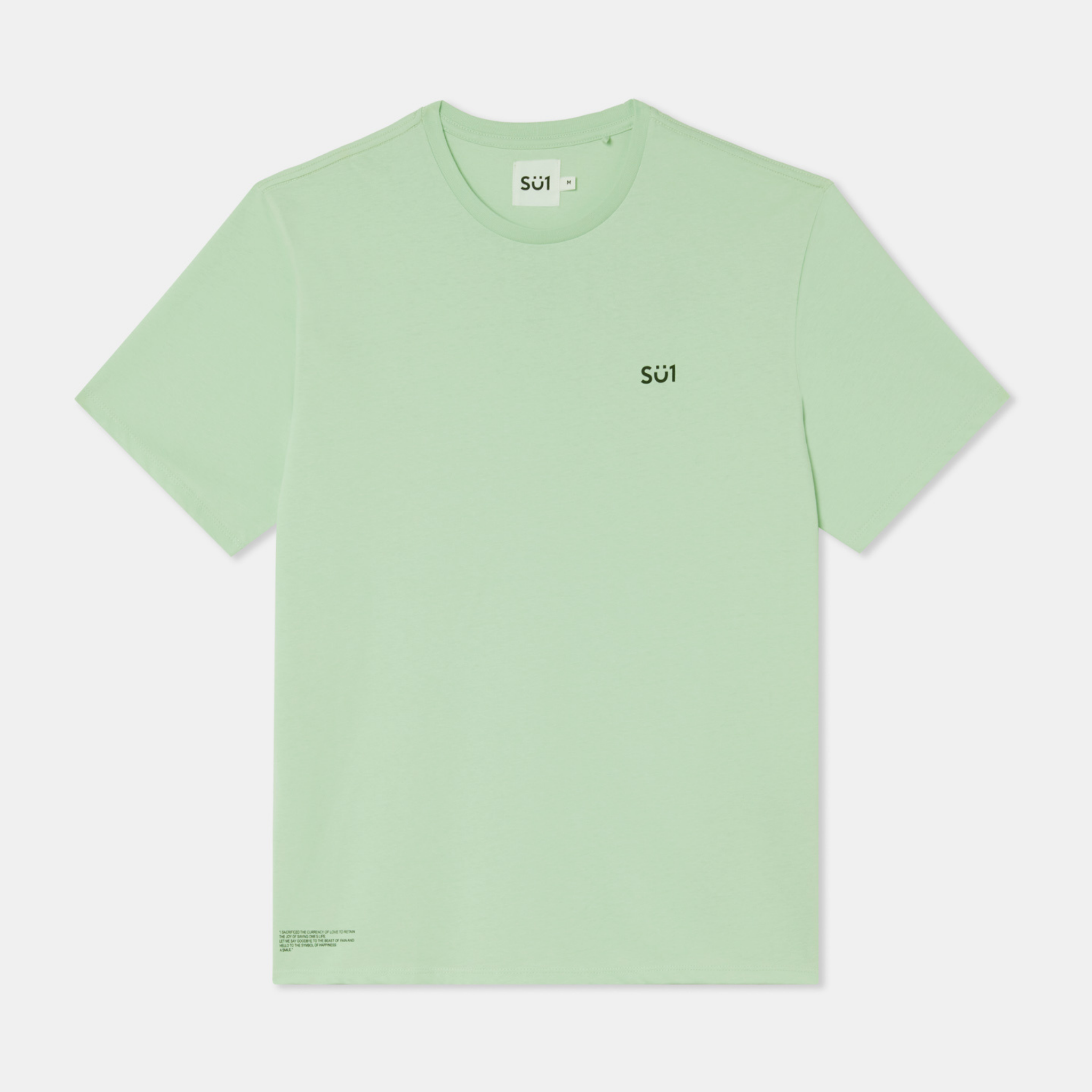 Regular Fit T-shirt Mint Green Small Logo Front