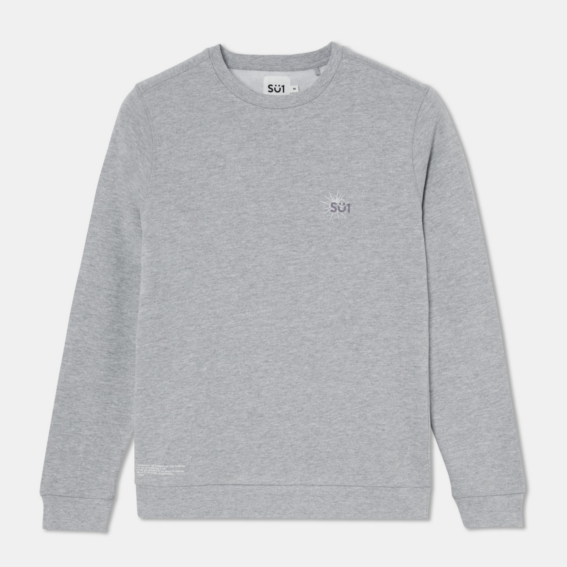 Sweatshirt Sweater Longsleeve Grey with logo Front