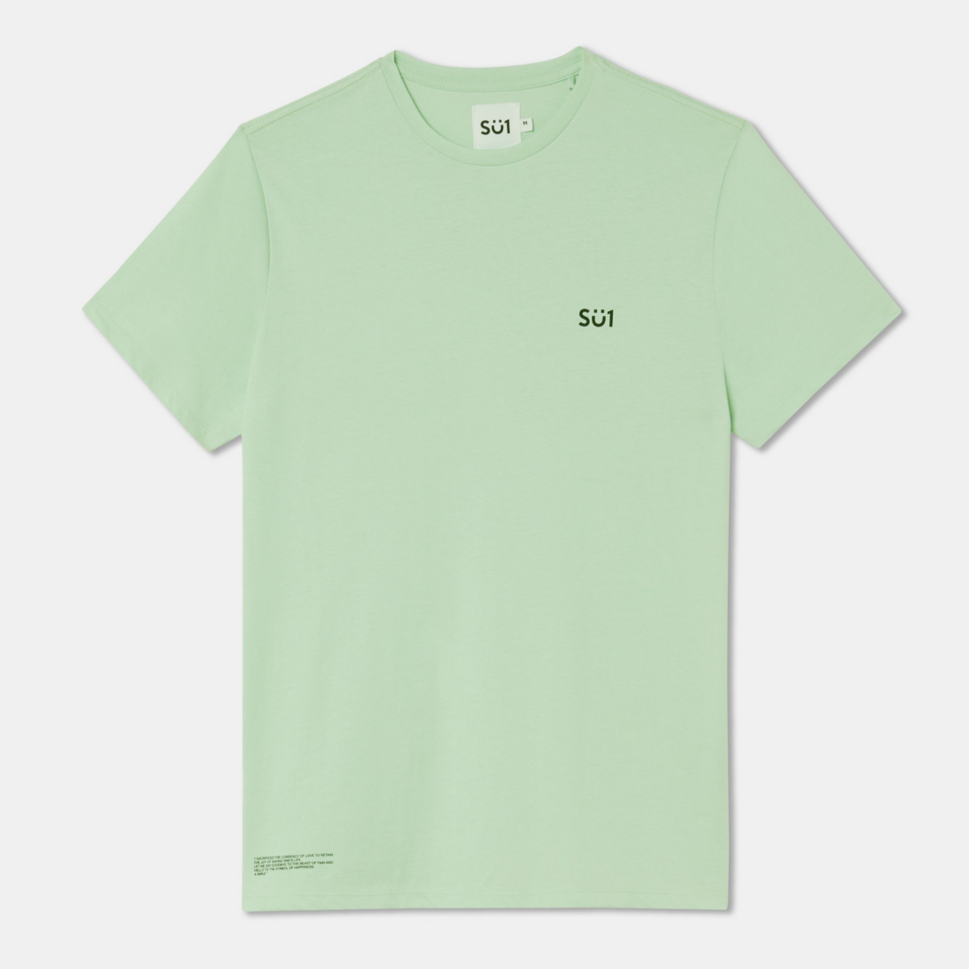 Oversized Mint Green T-shirt Small Logo Su1 Front