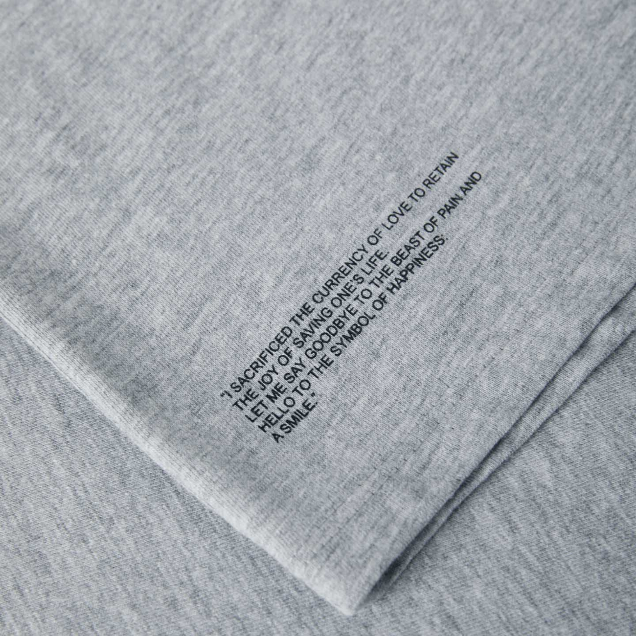 Regular Fit T-shirt Grey Sentence Details